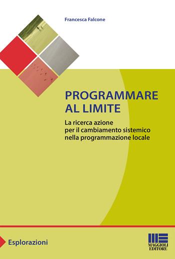 Programmare al limite. La ricerca azione per il cambiamento sistemico nella programmazione locale - Francesca Falcone - Libro Maggioli Editore 2019, Sociale & sanità | Libraccio.it