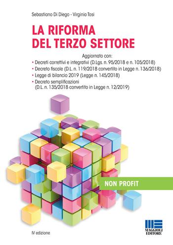 La riforma del terzo settore - Sebastiano Di Diego, Virginia Tosi - Libro Maggioli Editore 2019, Non profit | Libraccio.it