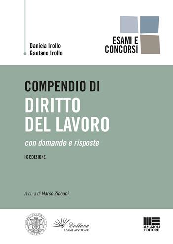 Compendio di diritto del lavoro - Daniela Irollo, Gaetano Irollo - Libro Maggioli Editore 2020, Legale | Libraccio.it
