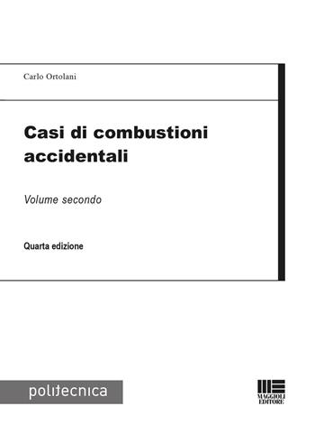 Casi di combustioni accidentali. Vol. 2 - Carlo Ortolani - Libro Maggioli Editore 2023 | Libraccio.it