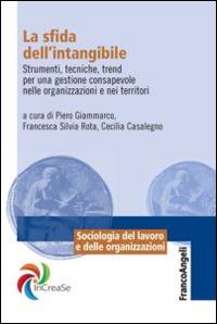 La sfida dell'intangibile. Strumenti, tecniche, trend per una gestione consapevole nelle organizzazioni e nei territori  - Libro Franco Angeli 2014, Sociologia del lavoro e organizzazioni | Libraccio.it