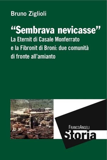 Sembrava nevicasse. La Eternit di Casale Monferrato e la Fibronit di Broni: due comunità di fronte all'amianto - Bruno Ziglioli - Libro Franco Angeli 2017, Storia-Studi e ricerche | Libraccio.it