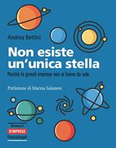 Non esiste un'unica stella. Perché le grandi imprese non si fanno da sole