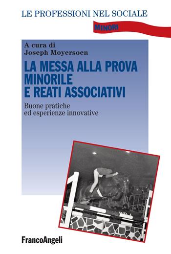 La messa alla prova minorile e reati associativi. Buone pratiche ed esperienze innovative  - Libro Franco Angeli 2018, Le professioni nel sociale | Libraccio.it