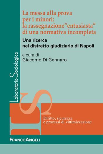 La messa alla prova per i minori: la rassegnazione «entusiasta» di una normativa incompleta. Una ricerca nel distretto giudiziario di Napoli  - Libro Franco Angeli 2018, Laboratorio sociologico | Libraccio.it