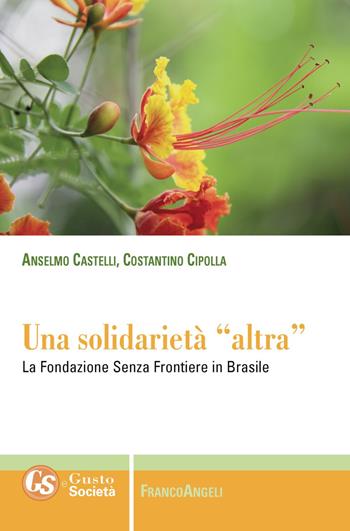 Una solidarietà «altra». La Fondazione Senza Frontiere in Brasile - Anselmo Castelli, Costantino Cipolla - Libro Franco Angeli 2019, Gusto e società | Libraccio.it