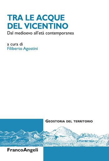 Tra le acque del Vicentino. Dal medioevo all'età contemporanea  - Libro Franco Angeli 2019, Geostoria del territorio | Libraccio.it