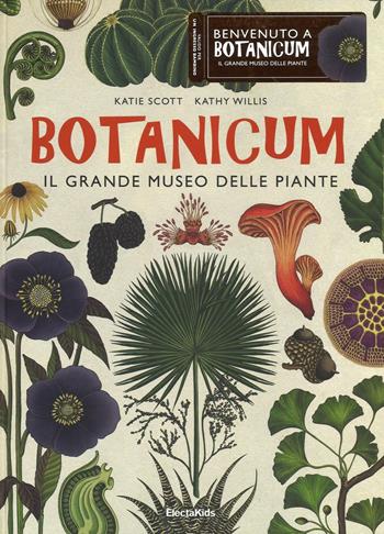 Botanicum. Il grande museo delle piante. Ediz. a colori - Katie Scott, Kathy Willis - Libro Mondadori Electa 2017, Electa Kids | Libraccio.it