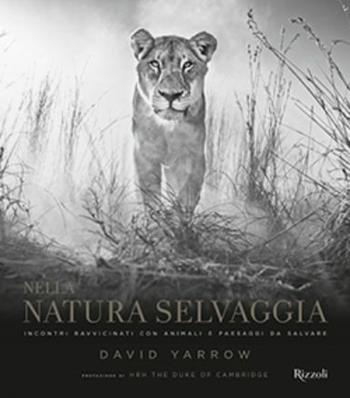 Nella natura selvaggia. Incontri ravvicinati con animali e paesaggi da salvare. Ediz. illustrata - David Yarrow - Libro Mondadori Electa 2017, Rizzoli Illustrati | Libraccio.it