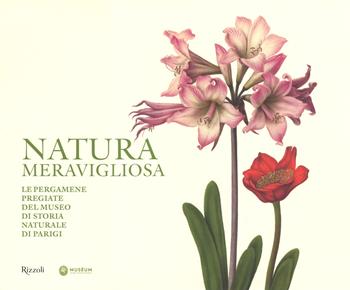Natura meravigliosa. Le pergamene pregiate del Museo di storia naturale di Parigi. Ediz. a colori  - Libro Mondadori Electa 2018, Rizzoli Illustrati | Libraccio.it