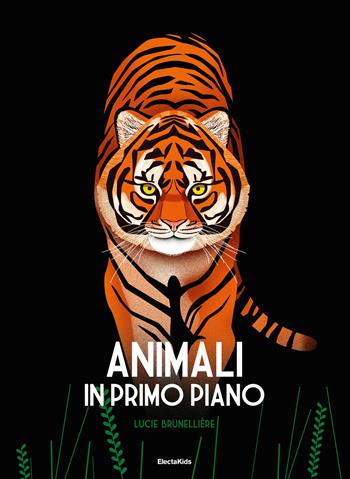 Animali in primo piano. Ediz. a colori - Lucie Brunelliere - Libro Mondadori Electa 2019, Electa Kids | Libraccio.it