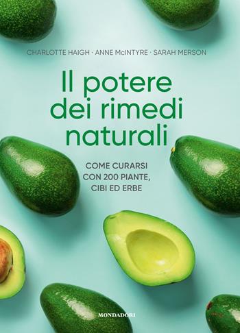 Il potere dei rimedi naturali. Come curarsi con 200 piante, cibi ed erbe - Charlotte Haigh, Anne McIntyre, Sarah Merson - Libro Mondadori Electa 2021 | Libraccio.it