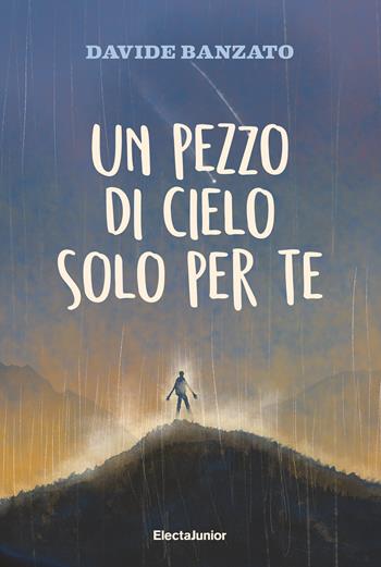 Un pezzo di cielo solo per te - Davide Banzato - Libro Mondadori Electa 2024, Electa Young | Libraccio.it