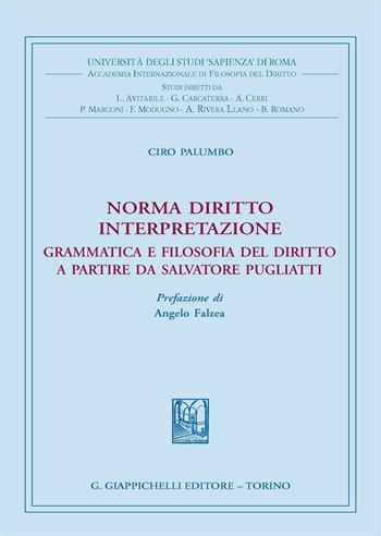 Norma diritto interpretazione. Grammatica e filosofia del diritto a partire da Salvatore Pugliatti - Ciro Palumbo - Libro Giappichelli 2016, Univ.Roma-Acc. Inter. filosofia diritto | Libraccio.it