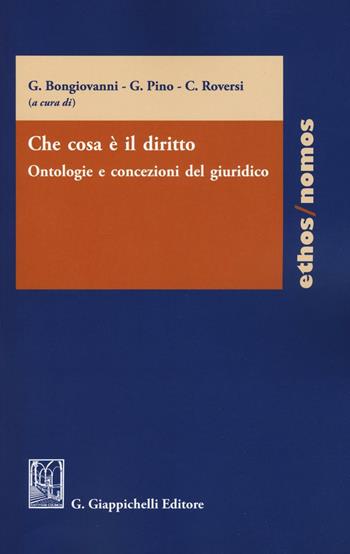 Che cosa è il diritto. Ontologie e concezioni del giuridico  - Libro Giappichelli 2016 | Libraccio.it
