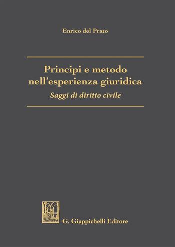 Principi e metodo nell'esperienza giuridica. Saggi di diritto civile - Enrico Del Prato - Libro Giappichelli 2018 | Libraccio.it