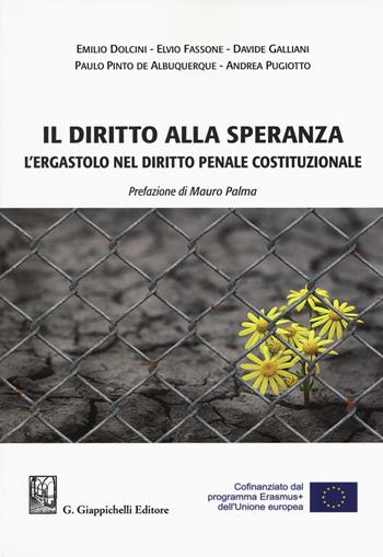 Il diritto alla speranza. L'ergastolo nel diritto penale costituzionale - Emilio Dolcini, Elvio Fassone, Davide Galliani - Libro Giappichelli 2019 | Libraccio.it