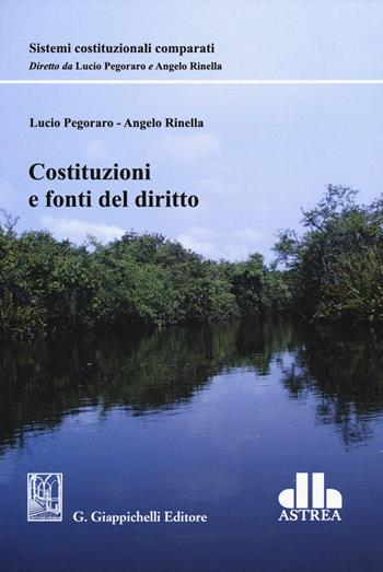 Costituzioni e fonti del diritto - Lucio Pegoraro, Angelo Rinella - Libro Giappichelli 2018, Sistemi costituzionali comparati | Libraccio.it