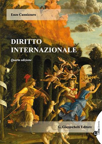 Diritto internazionale. - Enzo Cannizzaro - Libro Giappichelli 2018 | Libraccio.it
