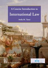 A concise introduction to international law