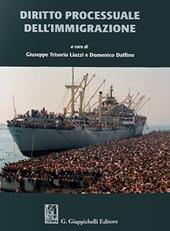 Diritto processuale dell'immigrazione