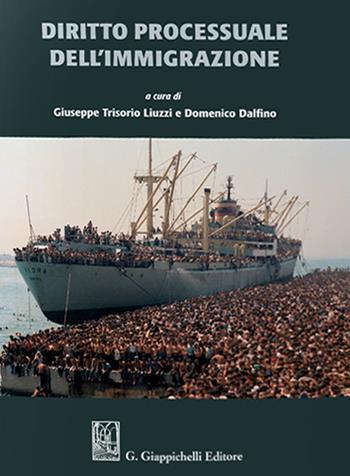 Diritto processuale dell'immigrazione - Fabrizio Giuseppe Del Rosso, Angelo Danilo De Santis, Barbara Poliseno - Libro Giappichelli 2019 | Libraccio.it