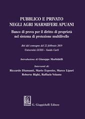 Pubblico e privato negli agri marmiferi apuani. Banco di prova per il diritto di proprietà nel sistema di protezione multilivello. Atti del Convegno (22 febbraio 2019)