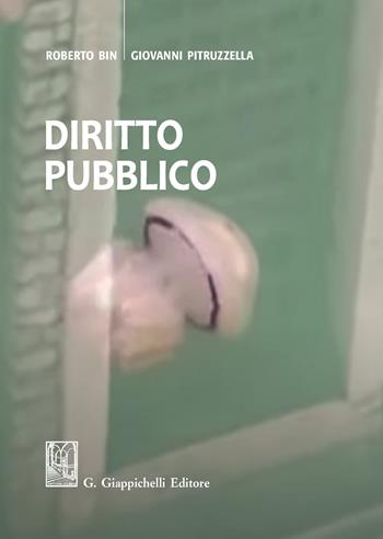 Diritto pubblico - Roberto Bin, Giovanni Pitruzzella - Libro Giappichelli 2020 | Libraccio.it