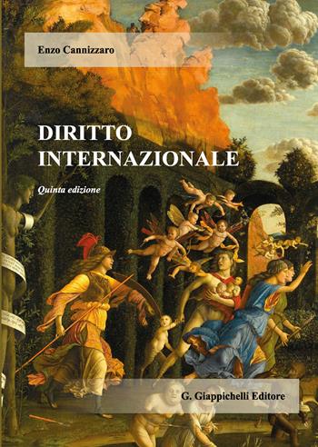 Diritto internazionale - Enzo Cannizzaro - Libro Giappichelli 2020 | Libraccio.it