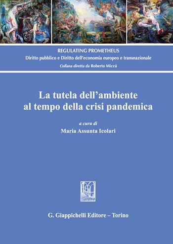 La tutela dell'ambiente al tempo della crisi pandemica  - Libro Giappichelli 2022, Regulating Prometheus | Libraccio.it