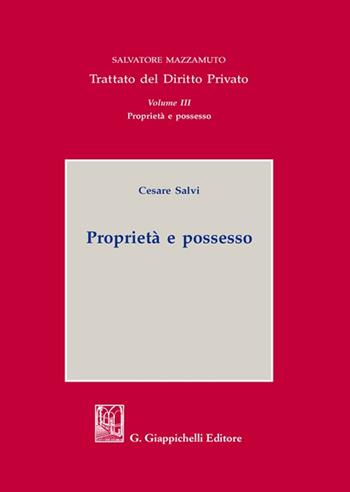 Proprietà e possesso - Cesare Salvi - Libro Giappichelli 2022, Trattato di diritto privato | Libraccio.it
