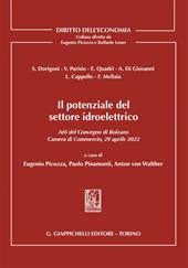 Il potenziale del settore idroelettrico. Atti del Convegno di Bolzano 29 aprile 2022 tenutosi presso la Camera di Commercio, Industria, Artigianato e Agricoltura di Bolzano