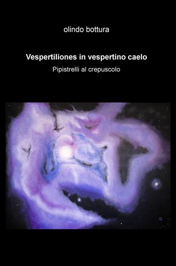 Vespertiliones in vespertino caelo. Pipistelli al crepuscolo - Olindo Bottura - Libro ilmiolibro self publishing 2015, La community di ilmiolibro.it | Libraccio.it