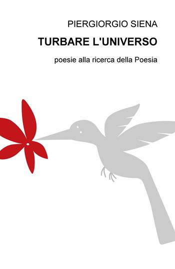 Turbare. Poesie alla ricerca della poesia - Piergiorgio Siena - Libro ilmiolibro self publishing 2015, La community di ilmiolibro.it | Libraccio.it