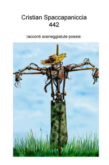 442. Racconti, sceneggiature, poesie - Cristian Spaccapaniccia - Libro ilmiolibro self publishing 2016, La community di ilmiolibro.it | Libraccio.it