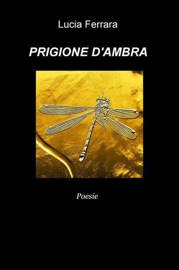 Prigione d'ambra - Lucia Ferrara - Libro ilmiolibro self publishing 2016, La community di ilmiolibro.it | Libraccio.it