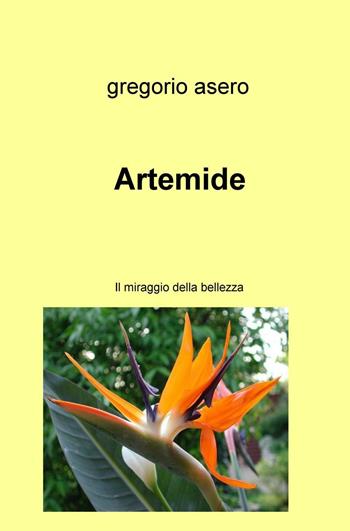 Artemide. Il miraggio della bellezza - Gregorio Asero - Libro ilmiolibro self publishing 2016, La community di ilmiolibro.it | Libraccio.it