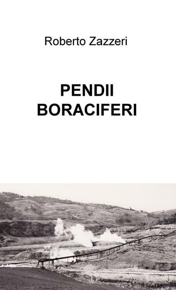 Pendii boraciferi - Roberto Zazzeri - Libro ilmiolibro self publishing 2016, La community di ilmiolibro.it | Libraccio.it