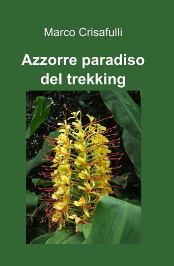 Azzorre paradiso del trekking - Marco Crisafulli - Libro ilmiolibro self publishing 2016, La community di ilmiolibro.it | Libraccio.it