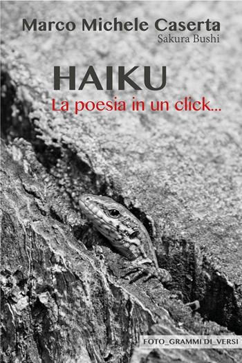 Haiku. La poesia in un click... - Marco Michele Caserta - Libro ilmiolibro self publishing 2017, La community di ilmiolibro.it | Libraccio.it