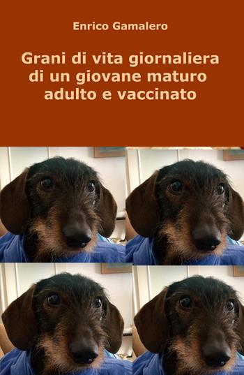 Grani di vita giornaliera di un giovane maturo adulto e vaccinato - Enrico Gamalero - Libro ilmiolibro self publishing 2017, La community di ilmiolibro.it | Libraccio.it