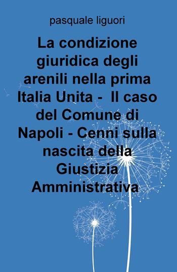La condizione giuridica degli arenili nella prima Italia unita. Il caso del Comune di Napoli. Cenni sulla nascita della giustizia amministrativa - Pasquale Liguori - Libro ilmiolibro self publishing 2018, La community di ilmiolibro.it | Libraccio.it
