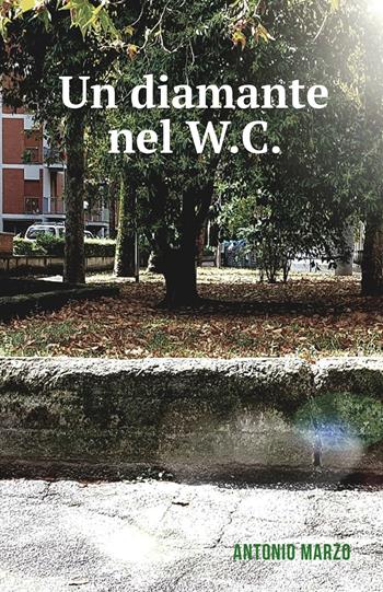 Un diamante nel W.C. - Antonio Marzo - Libro ilmiolibro self publishing 2018, La community di ilmiolibro.it | Libraccio.it