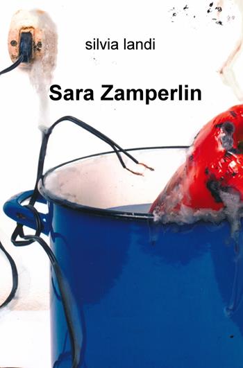 Sara Zamperlin - Silvia Landi - Libro ilmiolibro self publishing 2019, La community di ilmiolibro.it | Libraccio.it
