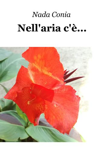 Nell'aria c'e... - Nada Conia - Libro ilmiolibro self publishing 2019, La community di ilmiolibro.it | Libraccio.it
