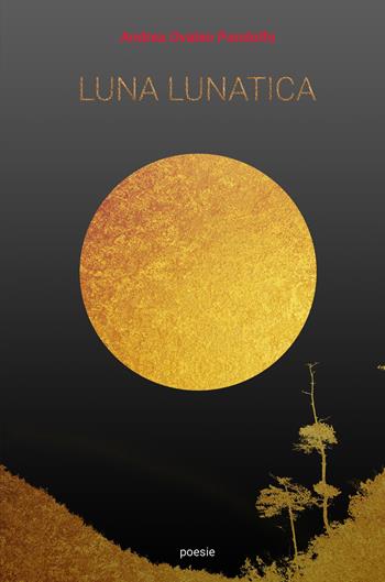 Luna lunatica - Andrea Ovaleo Pandolfo - Libro ilmiolibro self publishing 2019, La community di ilmiolibro.it | Libraccio.it