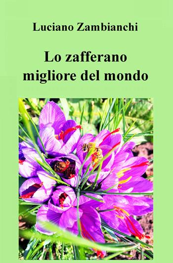Lo zafferano migliore del mondo. Parola di chef Remy - Luciano Zambianchi - Libro ilmiolibro self publishing 2019, La community di ilmiolibro.it | Libraccio.it