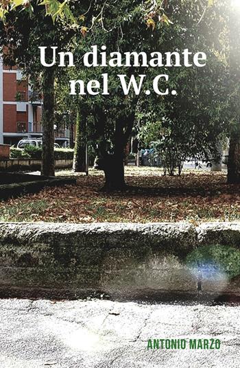 Un diamante nel W.C. - Antonio Marzo - Libro ilmiolibro self publishing 2019, La community di ilmiolibro.it | Libraccio.it