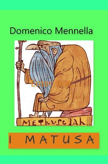I matusa - Domenico Mennella - Libro ilmiolibro self publishing 2019, La community di ilmiolibro.it | Libraccio.it