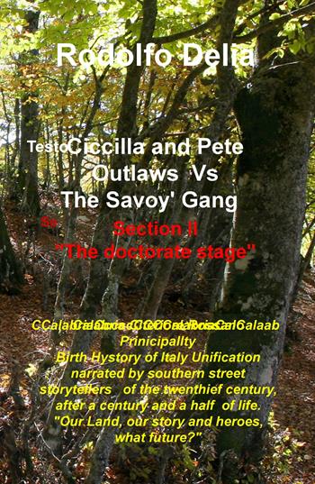 Ciccilla & Pete outlaws vs The Savoy' gang. Vol. 2: doctorate stage, The. - Rodolfo Delia - Libro ilmiolibro self publishing 2020, La community di ilmiolibro.it | Libraccio.it